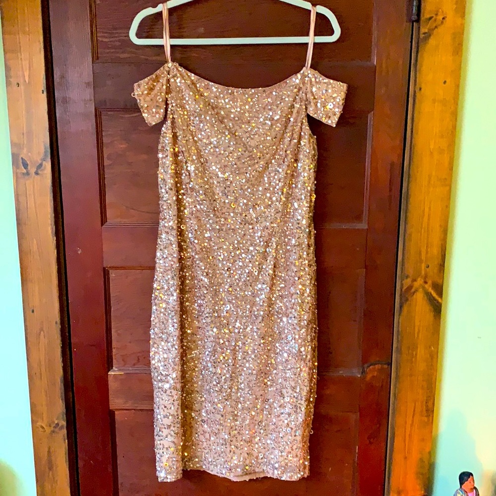 Rose Gold Sequin Dress